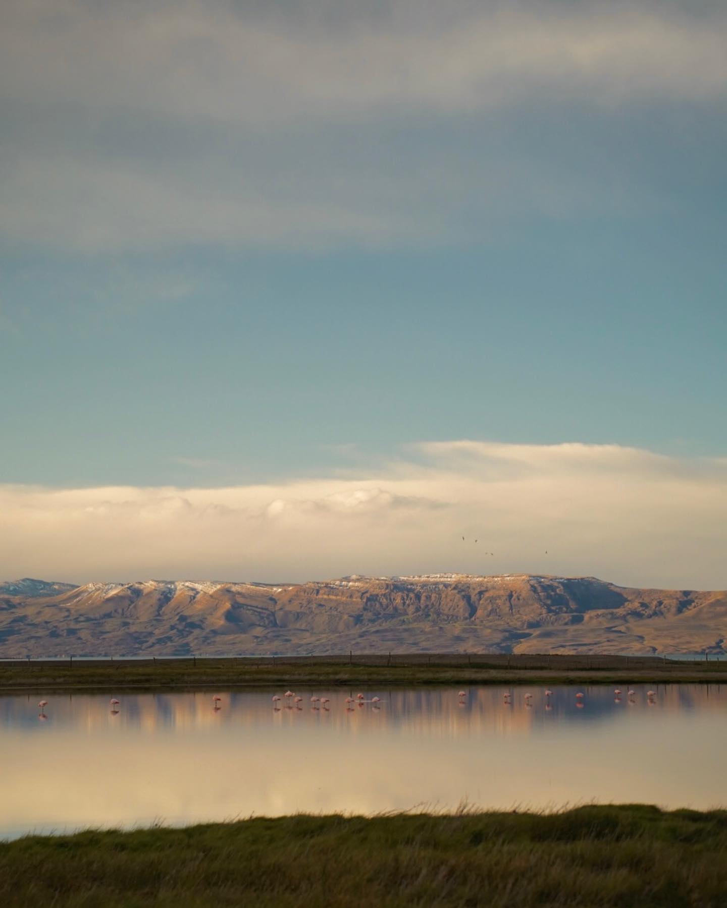 Solitary iceberg in dark waters of southern Patagonia under a flat sky.