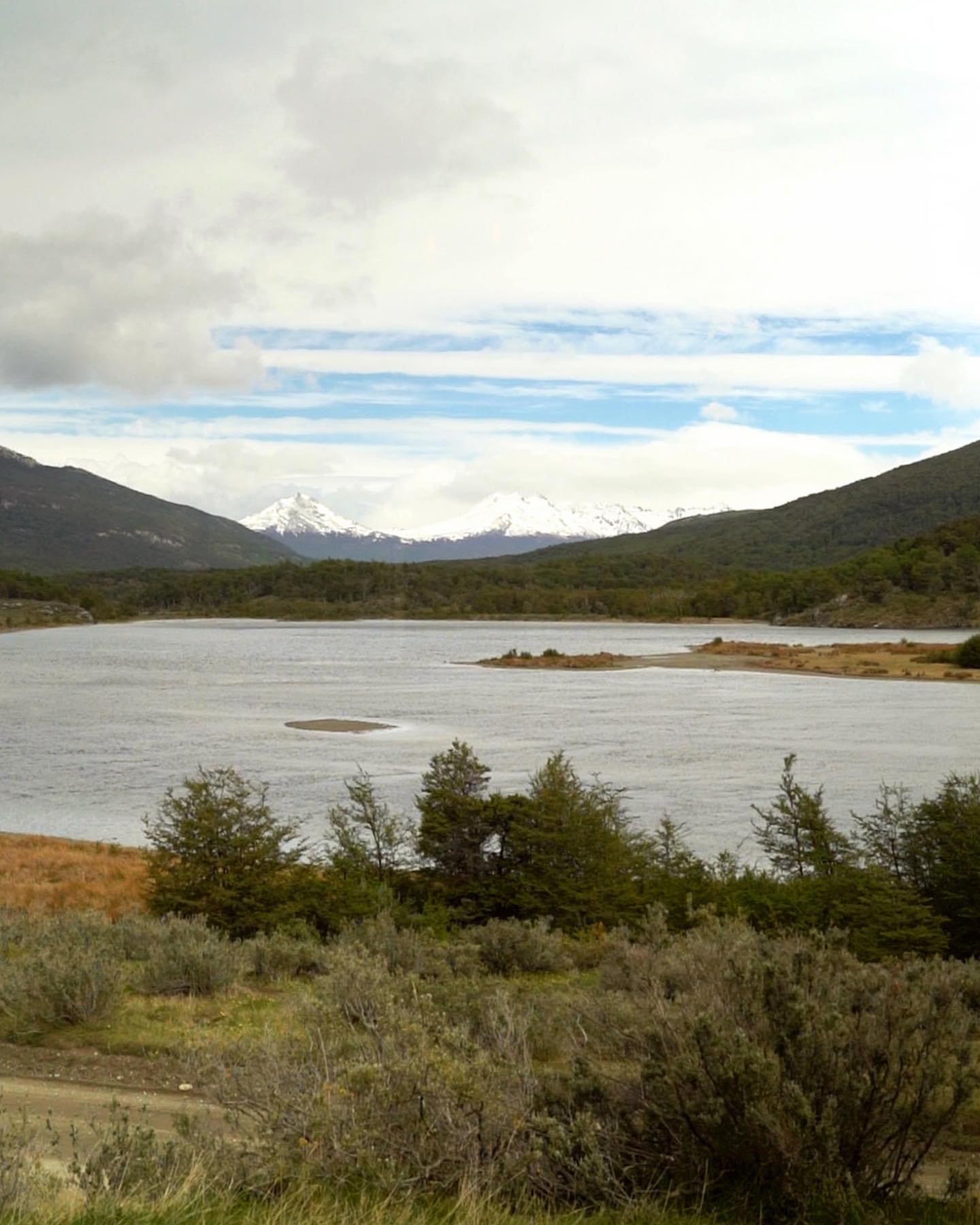 Pink flamingos reflected on the still water of the Nimez lagoon
