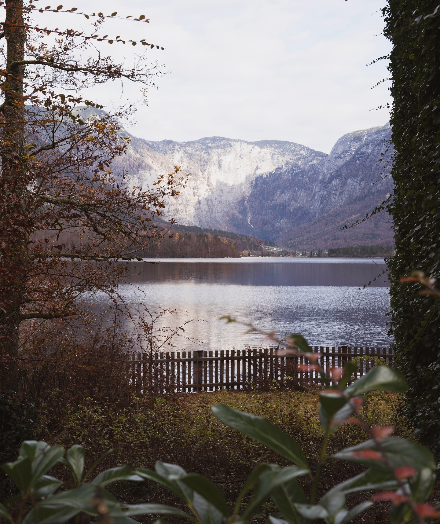 Ruta del valle austriaco en blanco y negro granulado