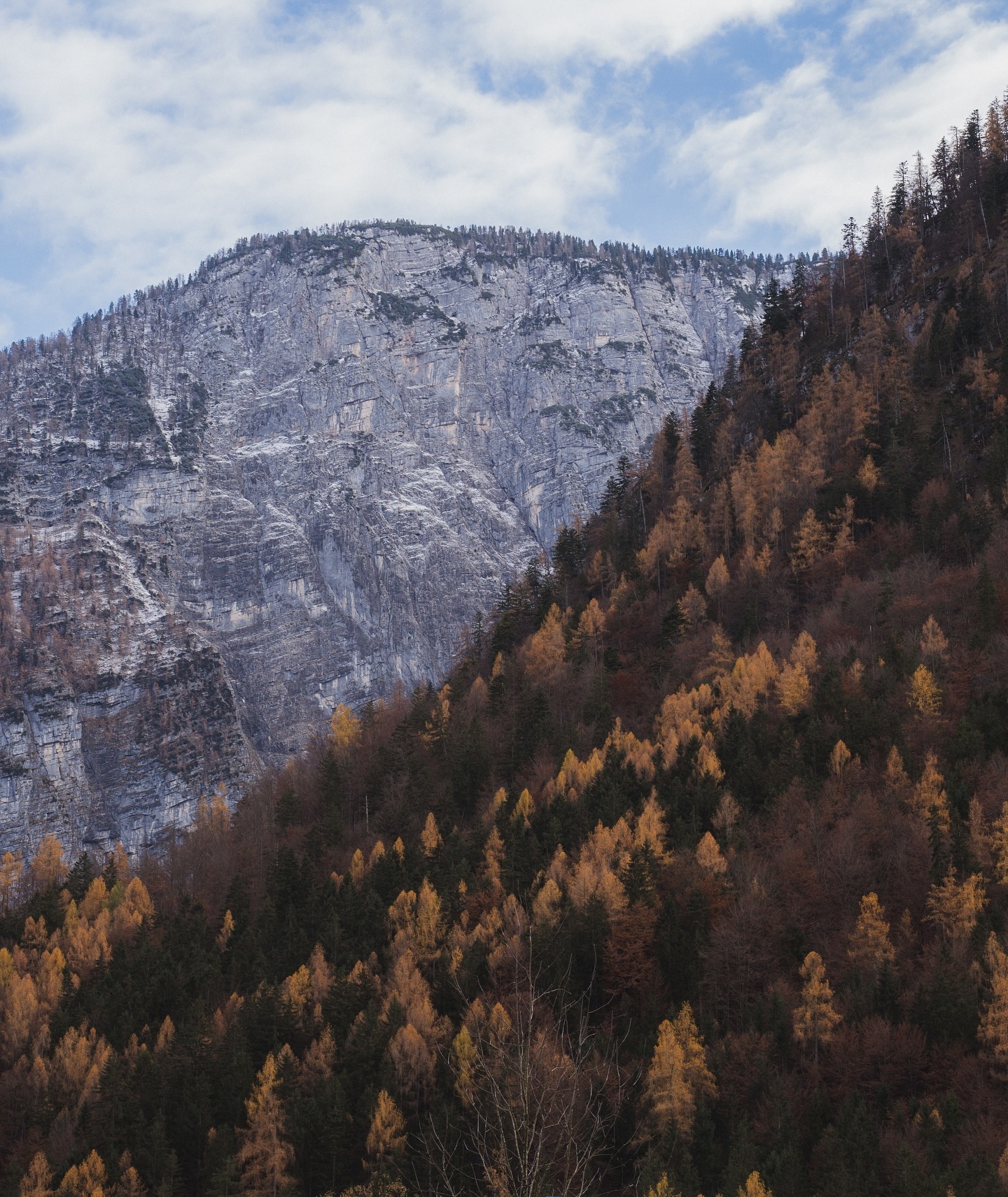 Austrian valley in grainy black and white