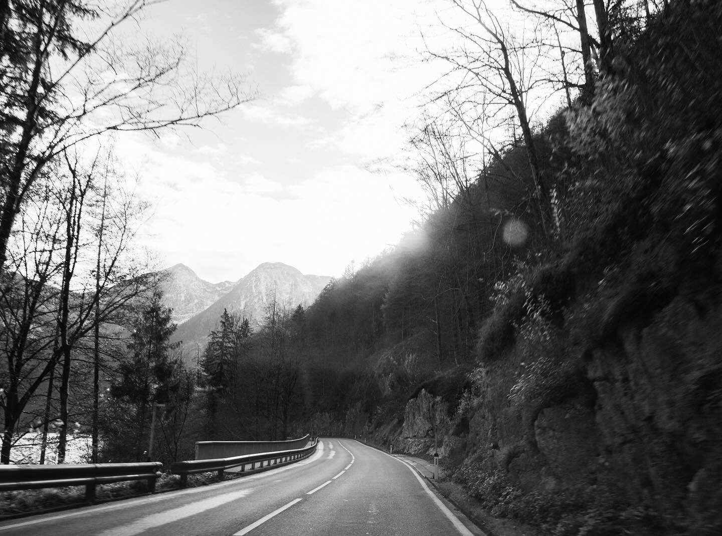 Bosque ocre colgado de la montaña europea
