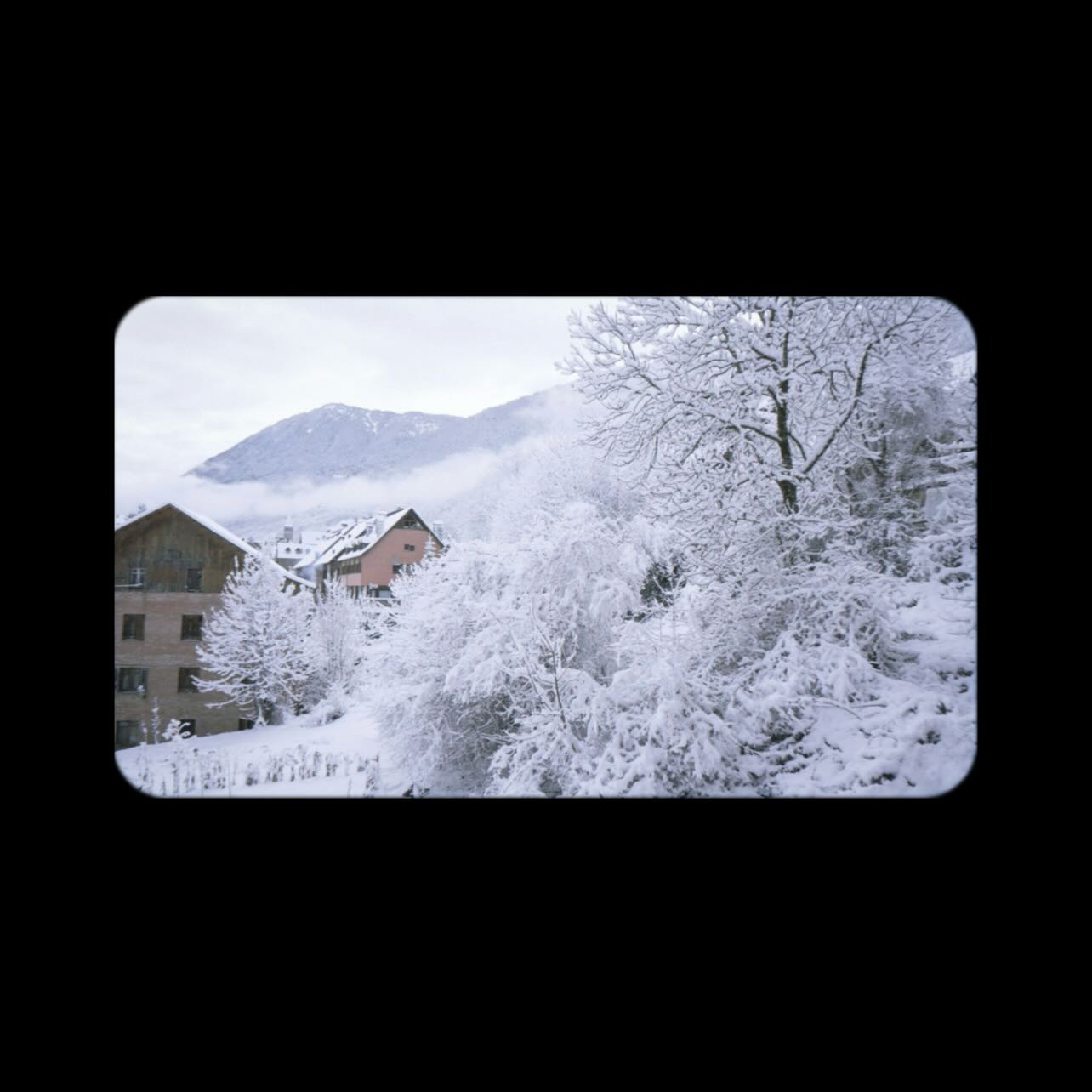 Salón vacío de Nueva York en Navidad