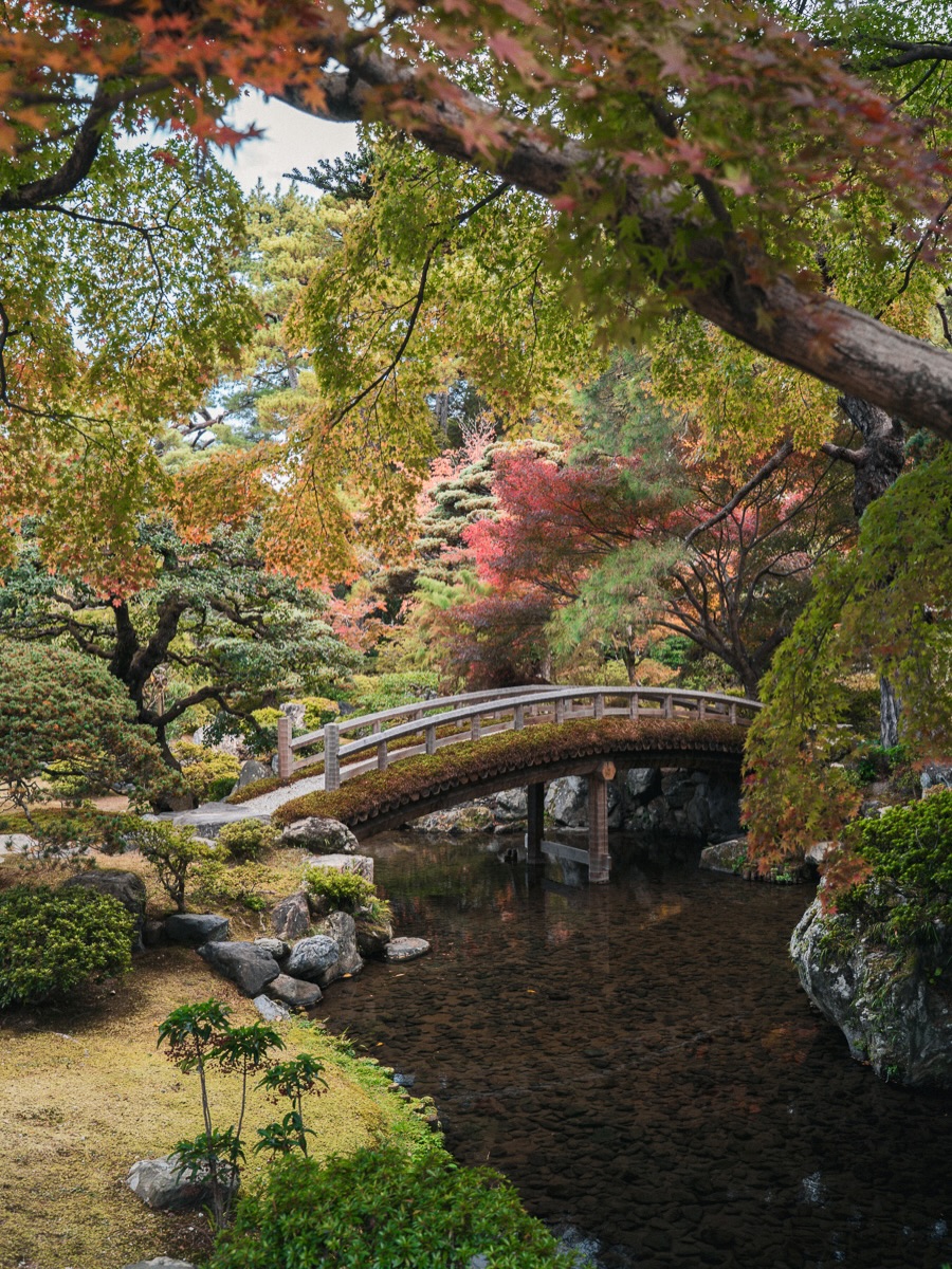 Puente de madera en Kioto entre momiji rojos