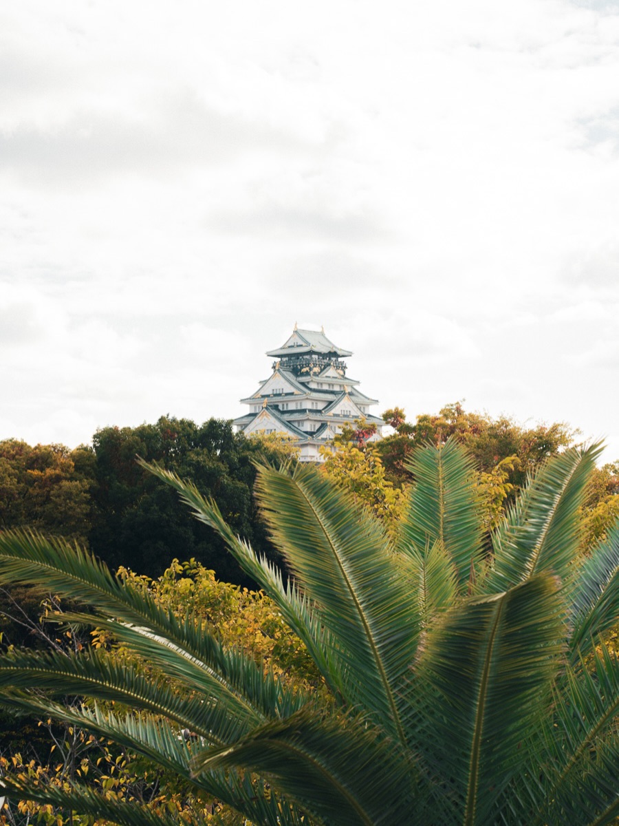 Intimate market-alley scene in Kyoto