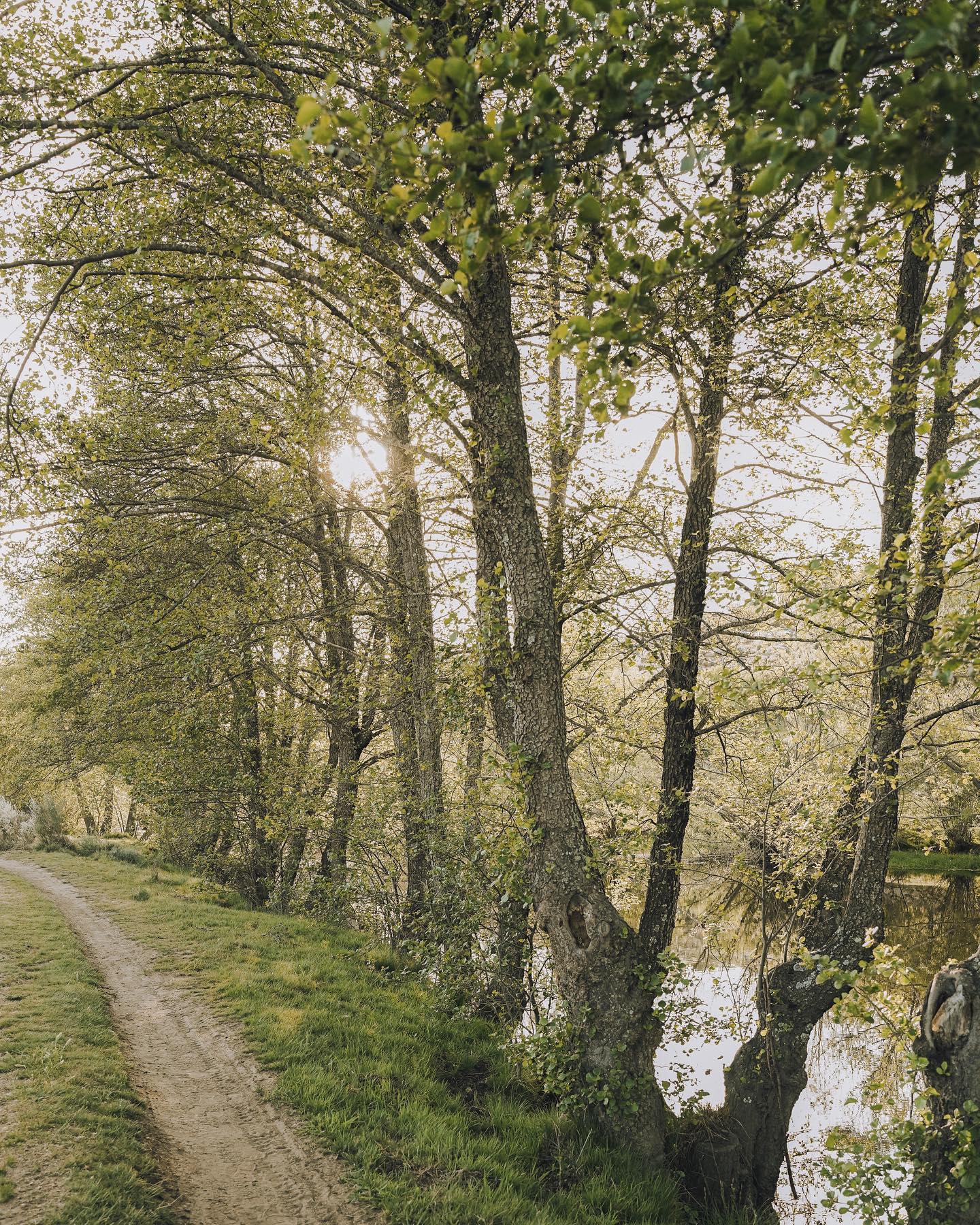 Fotografía de la serie Norte: acantilados, maizales o claustros del norte de España · fotograma 06